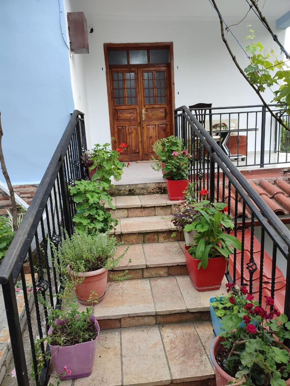 Guest House Eloid Berat Luaran gambar